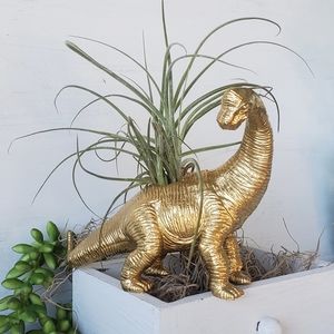 Gold Dinosaur Planter w/ Live Air Plant